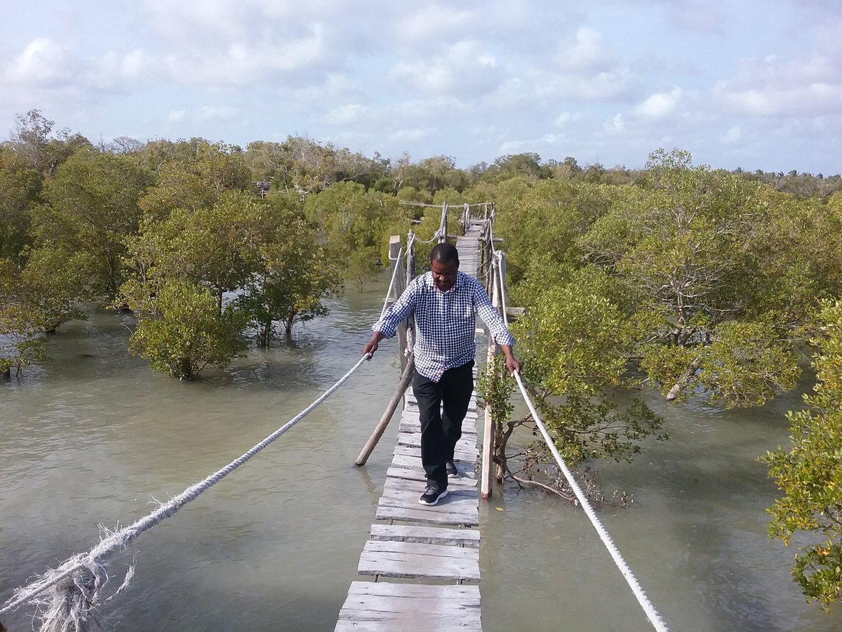 Tourismfinance's tweet photo. Discover our Magical Kenya at Mida Creek;Kilifi County;Suspended Boardwalk &amp; Bird Hide.#TourismForAll #WTD2016 https://t.co/3NhyqR1ZIy