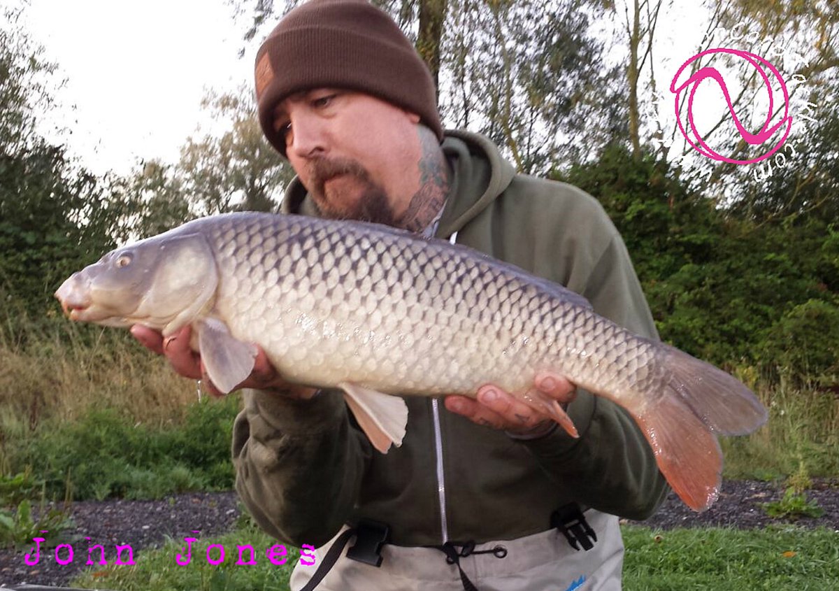 EvoCarpTackle's tweet photo. Angry little common liked the Evo yellow corn stacks.
https://t.co/pJQKNvDNOj
#Evolutiontackle #EVOLVE #TeamEvolutionCarpTackle #ProudDad https://t.co/pfXCtzsEn5