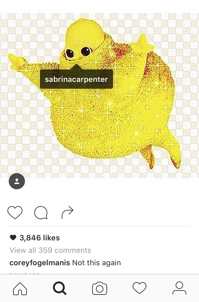 can somebody please stop these children before they get wilder on ig