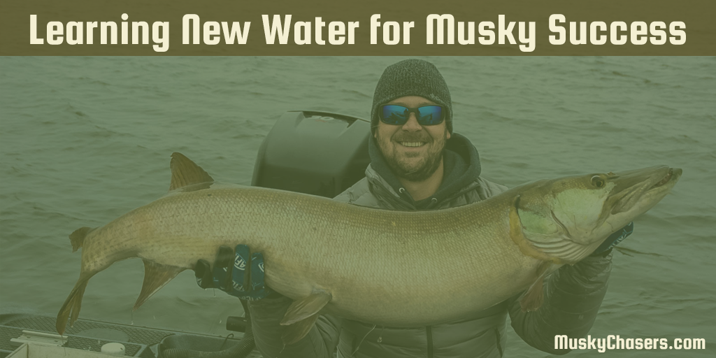 MuskyChasers's tweet photo. Have a few minutes? We have a new blog post: Learning New Water for Musky Success https://t.co/bxbrBSH5Hh #muskychasers #muskyfishing https://t.co/0wVdmw4ZXz