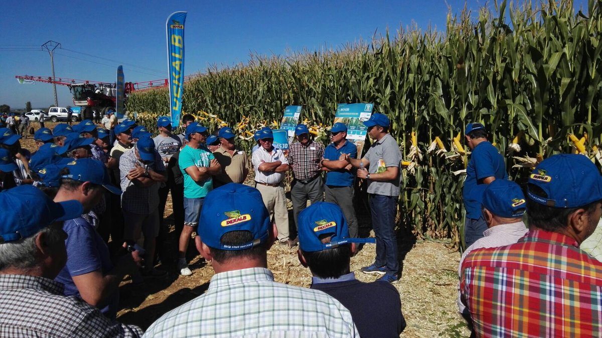 DEKALB_ES's tweet photo. Disfrutando de la jornada de campo #DEKALB en #Reliegos (León). https://t.co/KpxVDIrLBY