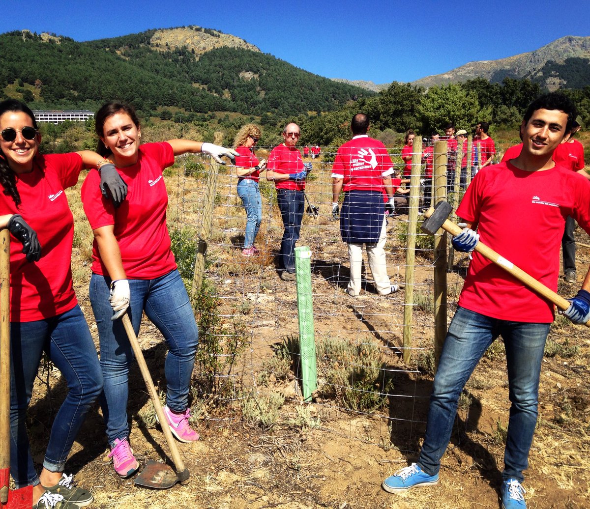 beajpa's tweet photo. Dia del voluntariado con @AReforesta #WeAreLilly https://t.co/jXvai2pY9K