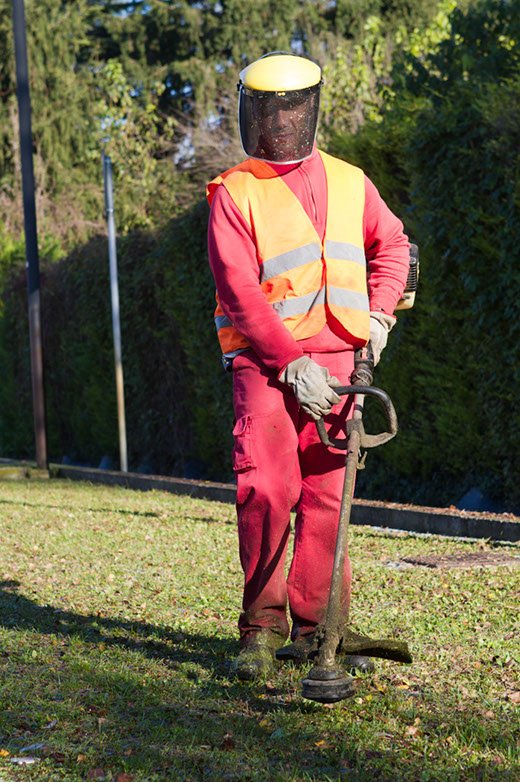 Interventi di manutenzione del verde