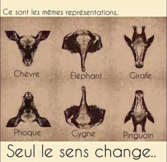 plusestenvous92 tweet picture