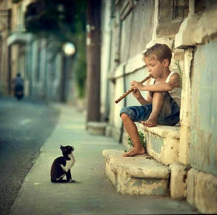 عندمـــا تعيش لـ تسعــد الاخرين… 
  سيبعث الله من يعيش ل يُسعدك. ..

❤️مــسـاء السعــヽ(♡‿♡)ノـــادة

#قروب_حسافة_الدعم