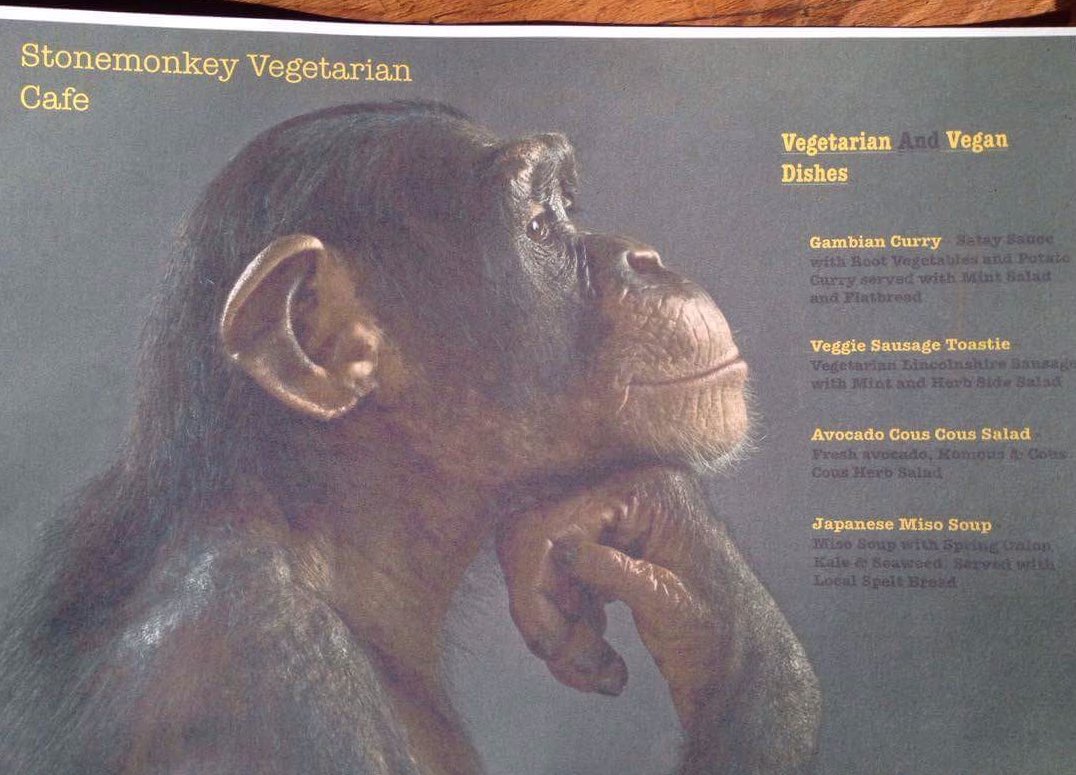 stonemonkeycafe's tweet photo. New Stonemonkey leaflets! #veggie #vegan #Leamington #leamingtonspa #Warwick #stonemonkeyyoga #stonemonkeycafe https://t.co/M8UZWoaIkg