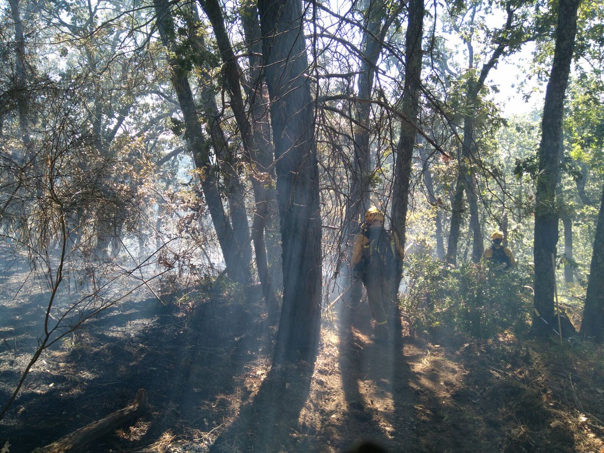 .<a href="/brif_iglesuela/">BRIF La Iglesuela</a> en labores de remate y liquidación sobre perimetro👷🔥en incendio forestal de Candeleda #Avila #IIFF #BRIF 14:43