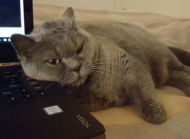 AnaNonide's tweet photo. Dale a 'Me Gusta' si a ti también te ha costado levantarte esta mañana… #Yoga #FelizLunes (📷 IG:... https://t.co/gOfDGpjjcr #LenovoChampions https://t.co/nai5A8yNdR