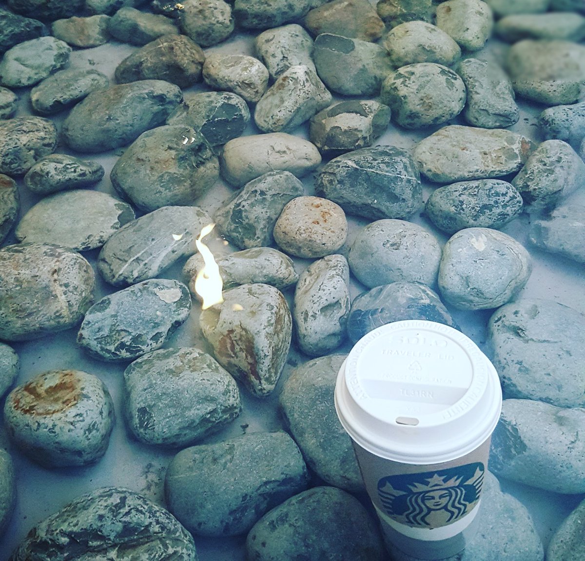 EduArd084's tweet photo. Disfrutando el día en Starbucks! #NationalCoffeeDay, #TeamChip, @StarbucksMex https://t.co/rli8EvC0Lr