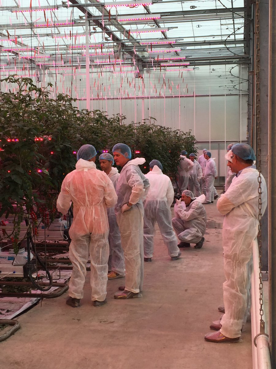DelphyNL (@delphynl) on Twitter photo Veel interesse in Middag Tuinen bij tomaat onder 100% LED. Presentaties van <a href="/PhilipsHorti/">Philips Horticulture</a>, <a href="/DeRuiterSeeds/">De Ruiter Seeds</a>, @CultiOne bij Improvement Centre! Veel interesse in Middag Tuinen bij tomaat onder 100% LED. Presentaties van <a href="/PhilipsHorti/">Philips Horticulture</a>, <a href="/DeRuiterSeeds/">De Ruiter Seeds</a>, @CultiOne bij Improvement Centre!