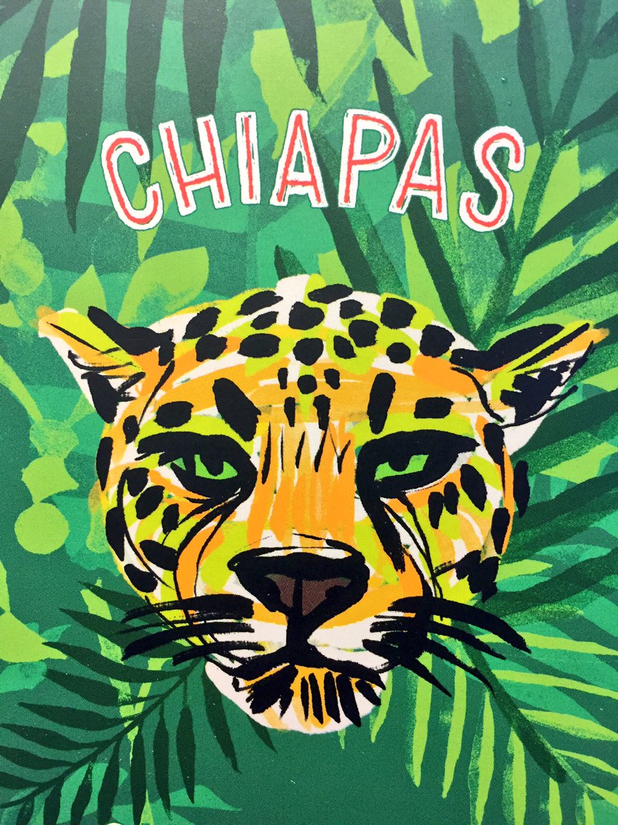 ArcadioXD's tweet photo. Hoy #NationalCoffeeDay Disfruta tu café del día Chiapas que resalta la naturaleza y sabor brillante de nuestro país #TeamCafé @StarbucksMex https://t.co/5bpvHFZmLI