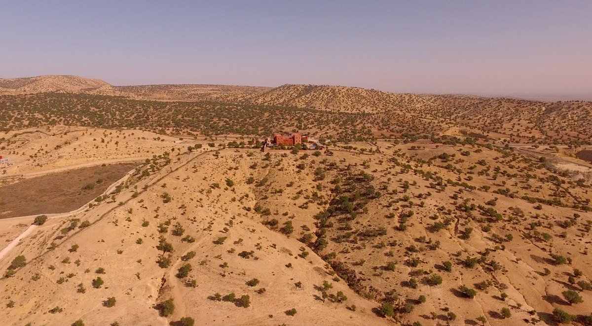 La Réserve de biosphère de l'#Arganeraie: le lieu de vie de communautés berbères aux moeurs ancestrales, le berceau de l'huile d'#argane☀️🌴