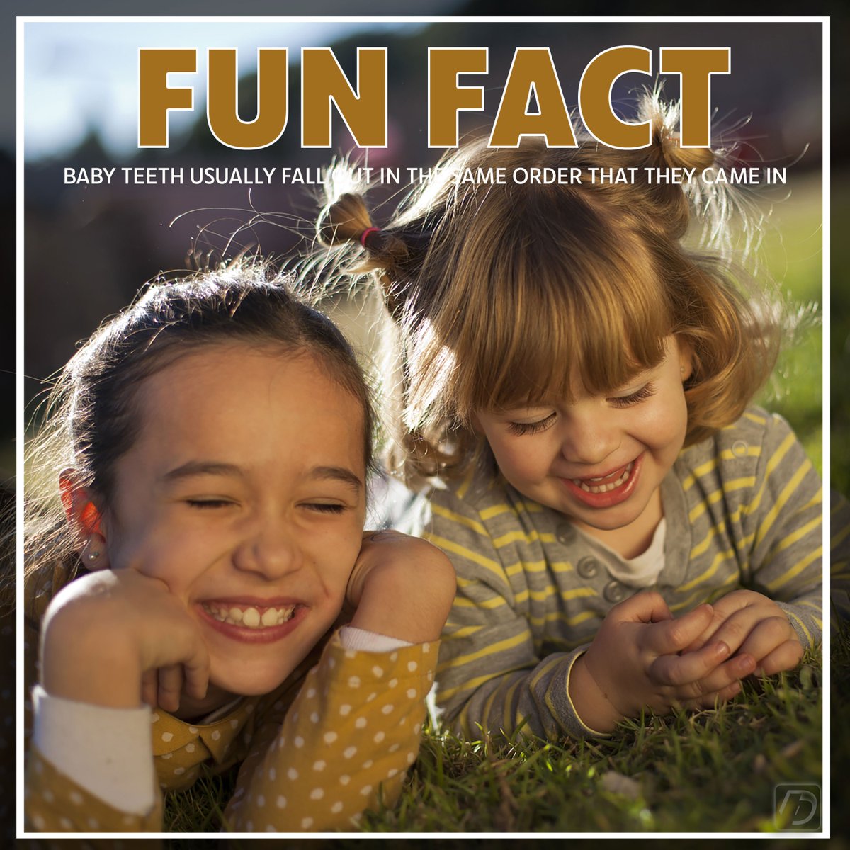 Here's a fun fact for your day!