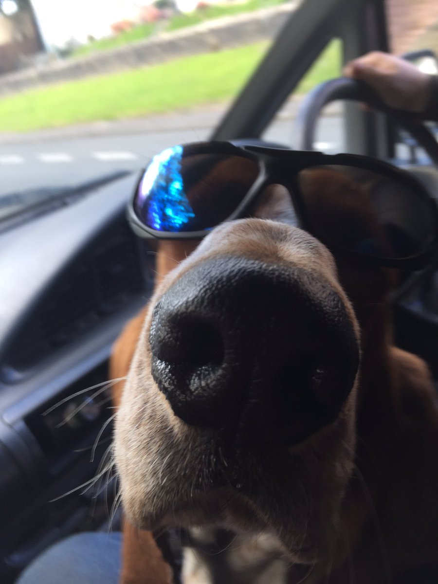 Glen phillips tweet media