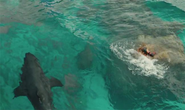 ThreeMovieBuffs's tweet photo. Read Eric's review of "Shallows, The" https://t.co/PprbnsZdtm #review #shallows https://t.co/WS21hPIh3K