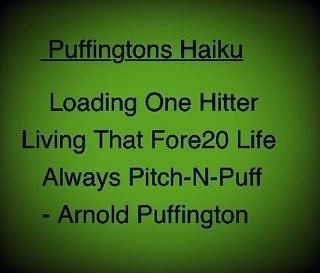 pitch_n_puff's tweet photo. Sometimes we're a bit poetic #haiku #fore20 #onehitter #pitchnpuff #cartgirl #cannagolf #puffingtons #wakenbake https://t.co/mDWFFSz7ly
