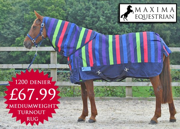 maximaequestria's tweet photo. Just one of the fabulous rugs in our new range, get them before they sell out!  #horsehour #equinehour #turnoutrug #stablerug #fleecerug https://t.co/smCEBBf3TM
