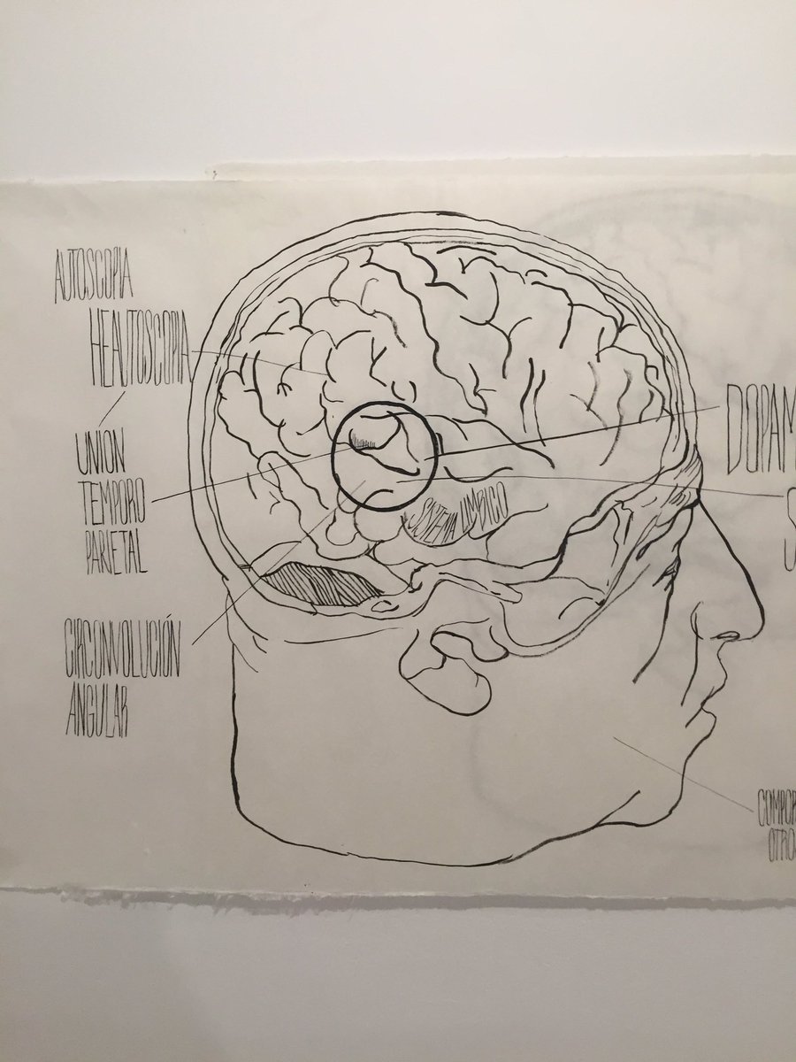 Carlos Urroz tweet media