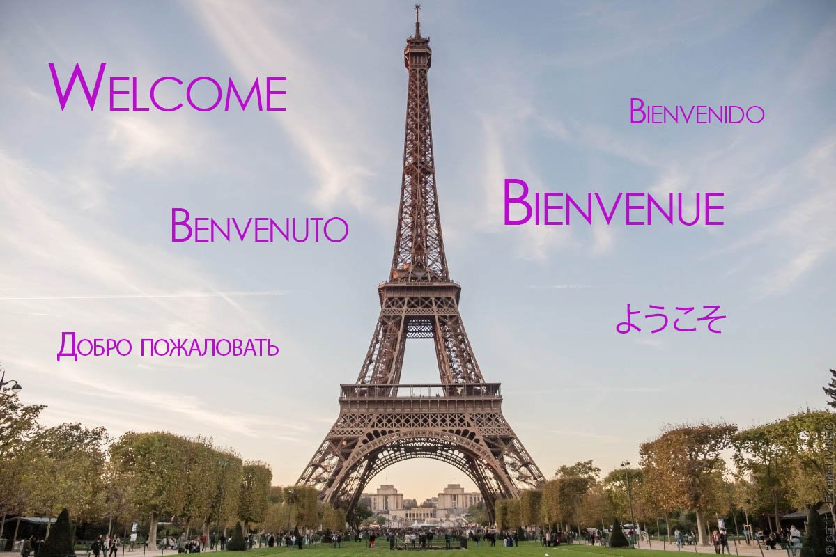 LaTourEiffel's tweet photo. It's International Translation Day! A useful skill to welcome my visitors from all over the world! 😉 https://t.co/MmTclFr2Yw
