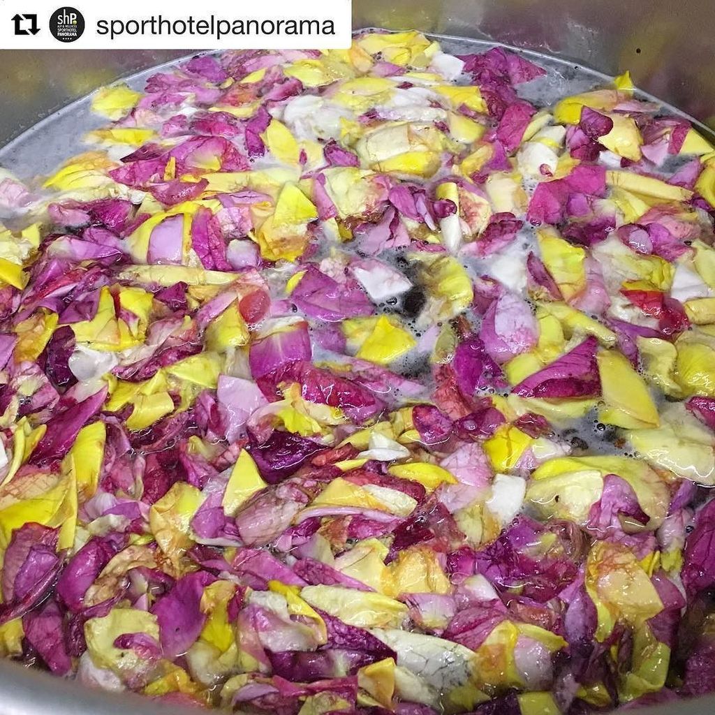 Sciroppo di rose e mele del giardino....squisito e chic!
#style #meraviglieitaliane #natura🍃 #sciroppodirose #sciro…