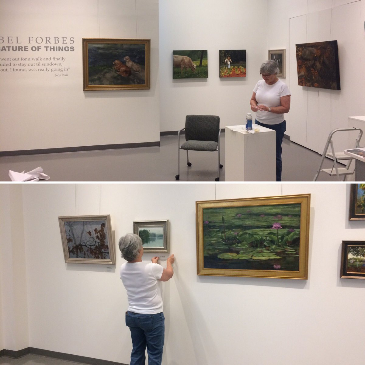 artistsguildspa's tweet photo. Isabel Forbes hanging her exhibit "The Nature of Things" in the Guild Gallery #artistsguild #onespartanburg #nature https://t.co/MnB9hzbgdP