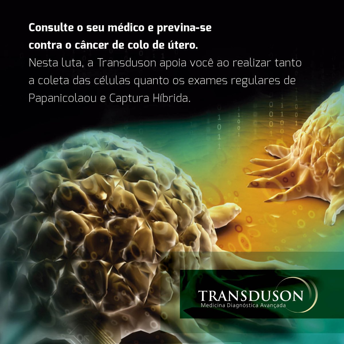 transduson tweet picture