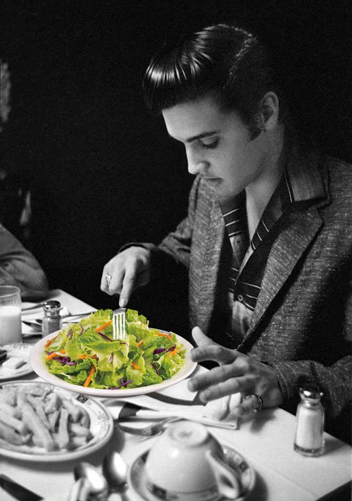 Plastids2k16's tweet photo. All the greats love eating their plastids. https://t.co/SWwaiszVsT