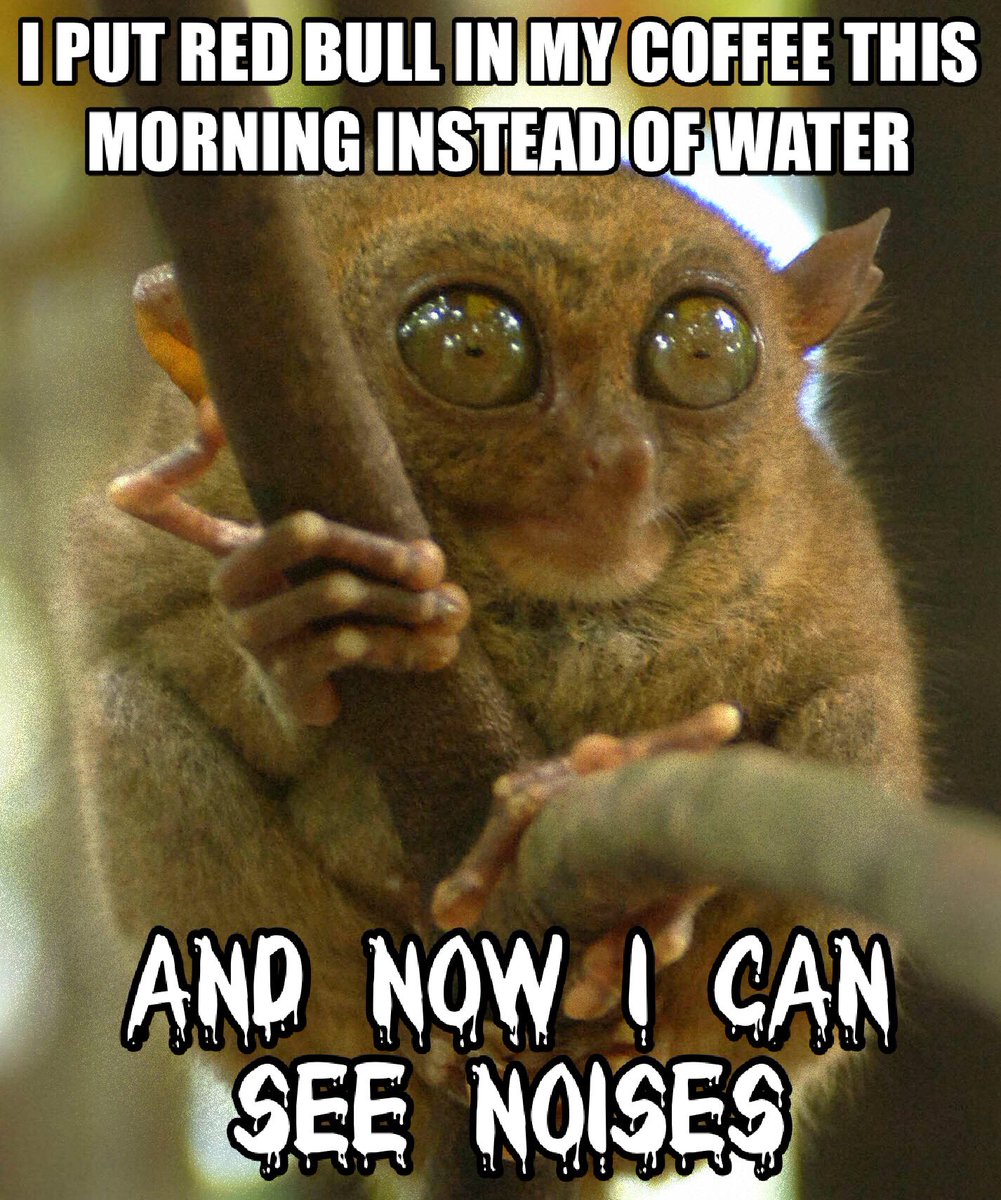 MariaandChad's tweet photo. #NationalCoffeeDay https://t.co/nngRjpAxZp