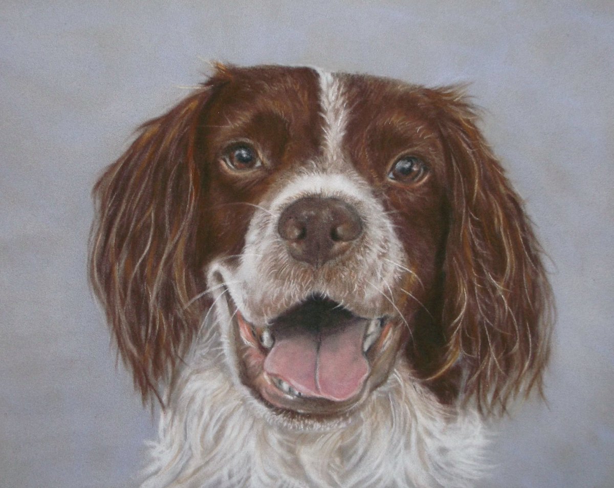 RunsWithPencil's tweet photo. I'm down to the last ONE Pet Portrait available for a pledge of just £95 as part of my #crowdfunding campaign  https://t.co/5WK3gKGmPA #pets https://t.co/ANCot8V5MO