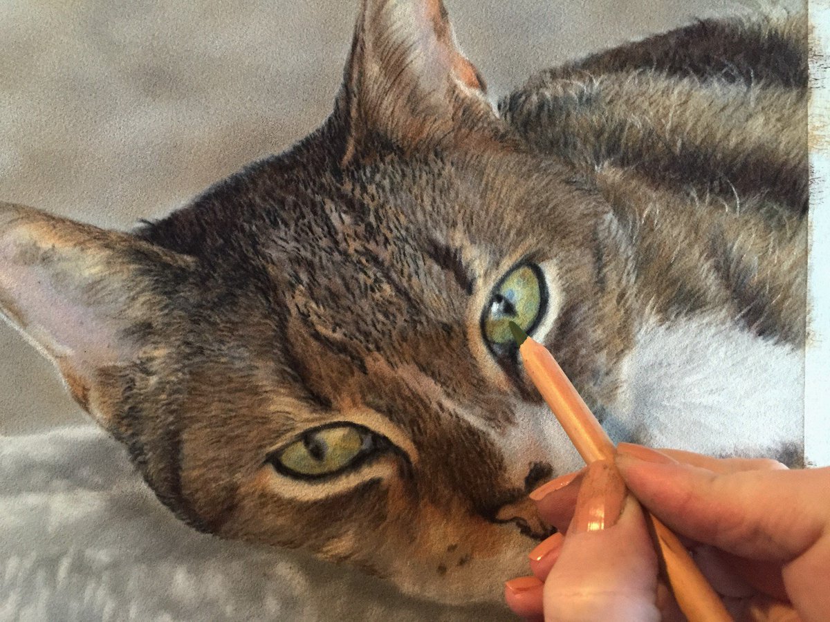 RunsWithPencil's tweet photo. I'm down to the last ONE Pet Portrait available for a pledge of just £95 as part of my #crowdfunding campaign  https://t.co/5WK3gKGmPA #pets https://t.co/ANCot8V5MO