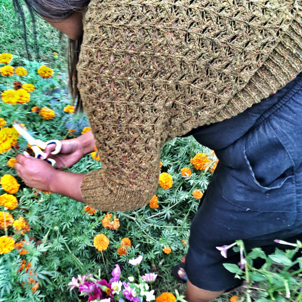 Pomme – More Sneak Peeks! florriemarie.com/2016/09/29/pom…