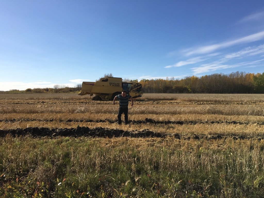 ClintEisner's tweet photo. Jumping ruts in The Pas @FCCagriculture #harvestgotime https://t.co/bSnYnm1Fdb