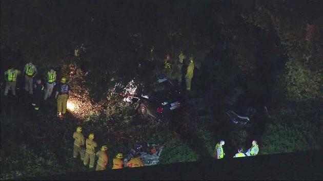 Suspect killed after stealing police cruiser, crashing into tree in DTLA