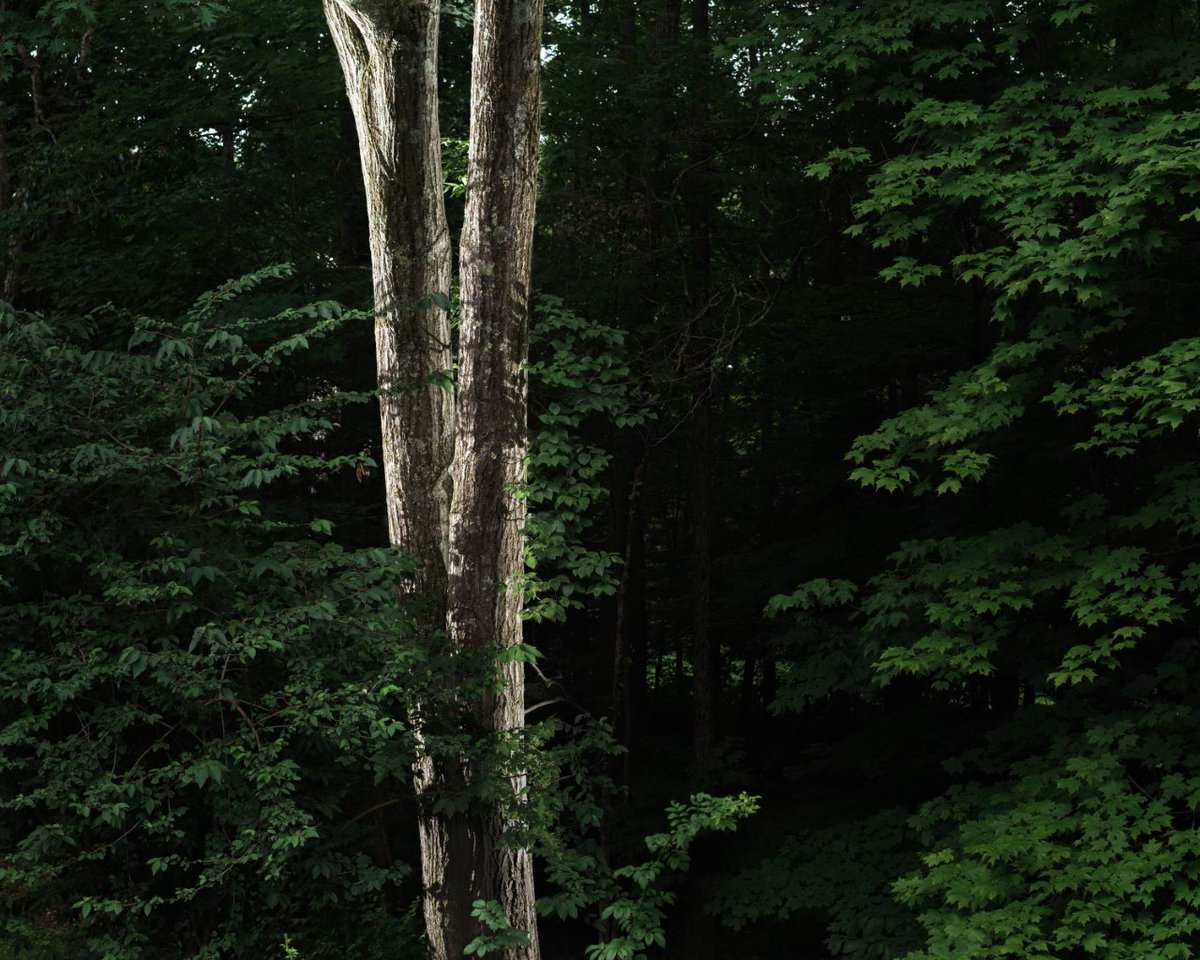 mfaboston's tweet image. Tomorrow, the MFA's Hunt Library presents student work in "Topo•graphic"—a collaboration with @SMFAatTufts! bit.ly/2da69u2