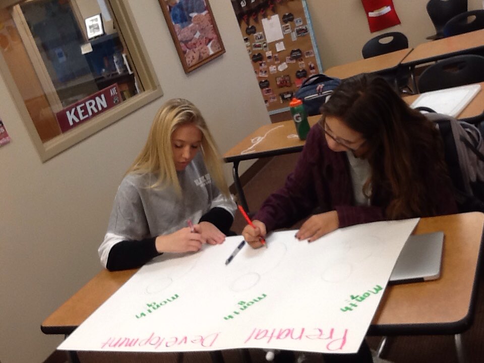 tracykern_cte's tweet image. @HarrisburgHigh Human Development class learning about the different trimesters #prenataldevelopment #facs