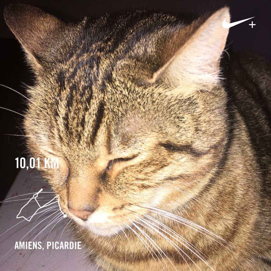 carter808384's tweet photo. #catsoftwiter #cat #chat #course #running #run #amiens #garmin #forerunner225 #course https://t.co/NtQLd3jZe1