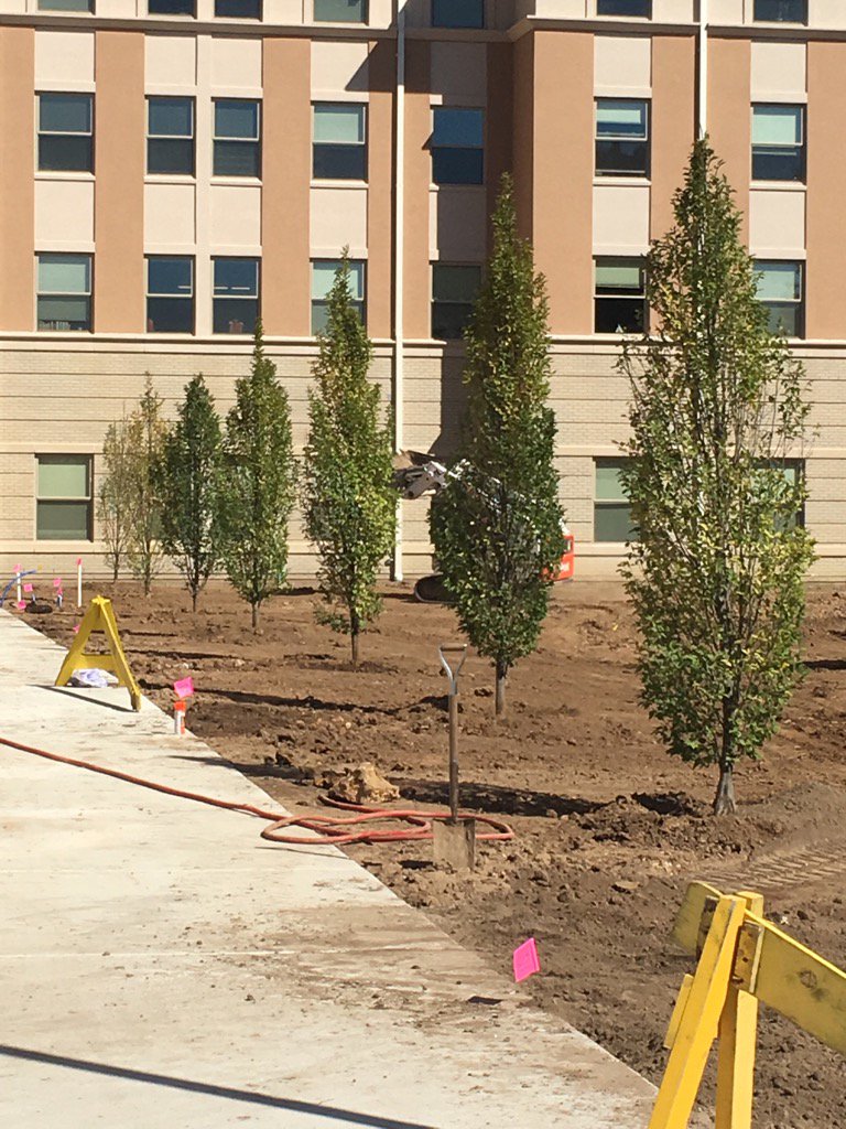 doriepaine's tweet photo. Yeah for landscaping at #Universitycommons https://t.co/VQ16xkLYJi