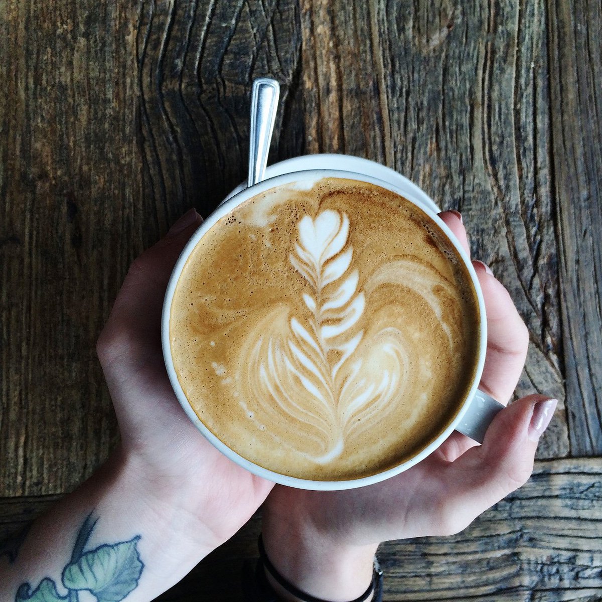 TreesOrganic's tweet photo. Happy #NationalCoffeeDay from #TreesOrganicCoffee, proudly serving 100% #organiccoffee in #Vancouver since 1996. #singleorigin #fairtrade https://t.co/cw5KXS5h2A