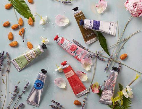 loccitane_chile's tweet photo. A cuidar tus manos! Dedicales unos minutos y ponelas a punto con nuestras Cremitas.Cuál es tu fragancia preferida? ->https://t.co/PBjHNmMsgz https://t.co/izKqegWdw8