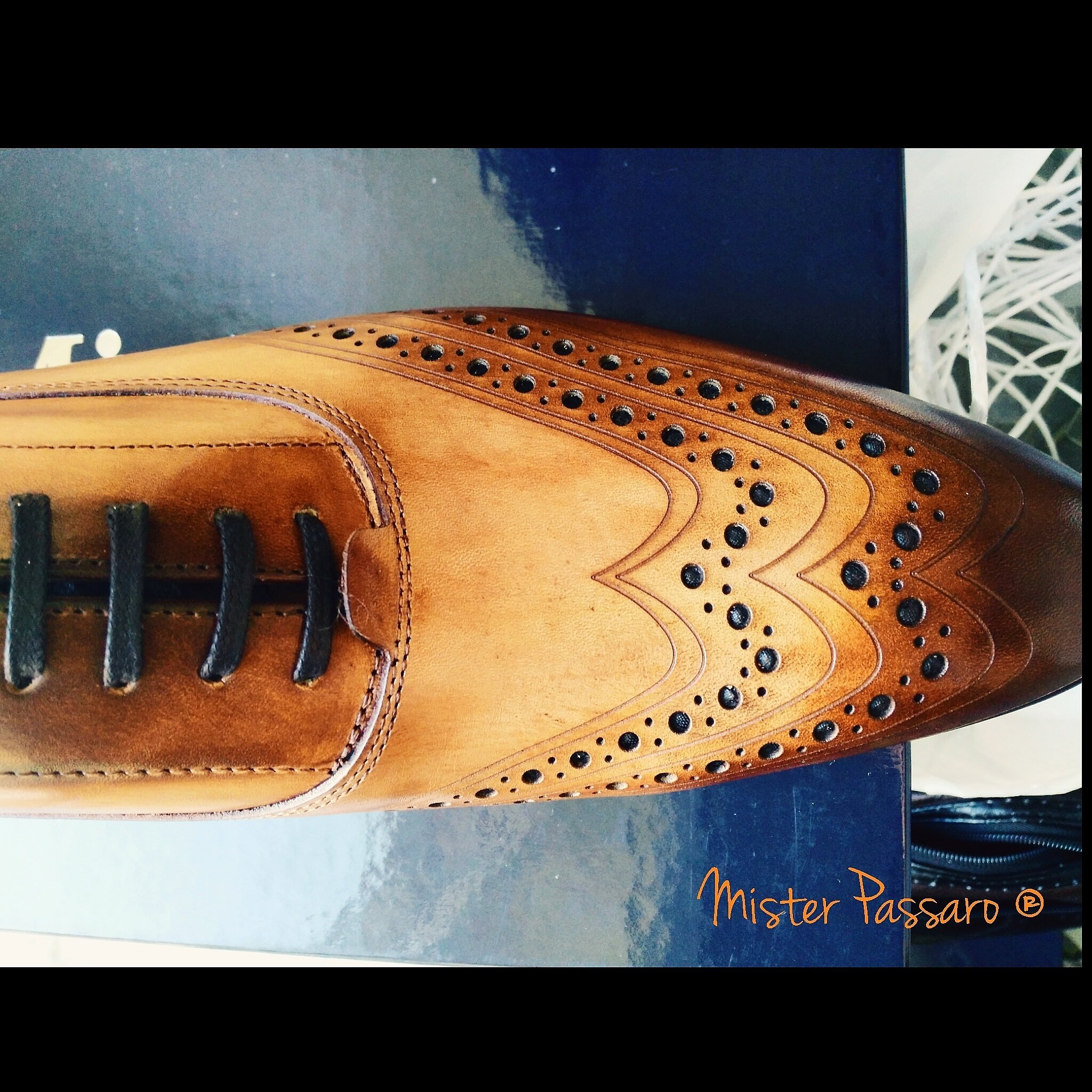 passaro scarpe