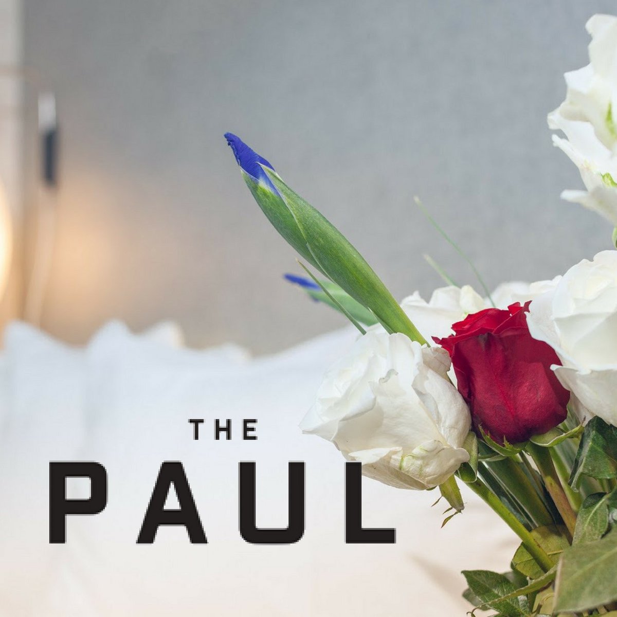 thepaulnyc's tweet photo. Get ready for an unforgettable stay at The Paul Hotel NYC! Book your getaway today at https://t.co/TU7KoXWPy7 #thepaulnyc #ascendcollection https://t.co/uCEmtA5OzS