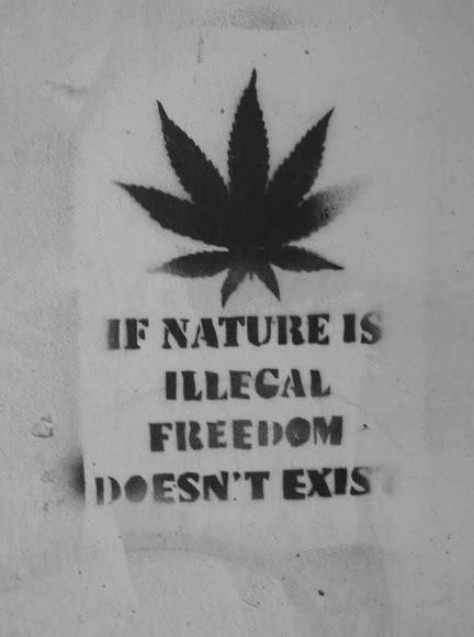 blogplaneta's tweet photo. We want to be free! https://t.co/rzppW1EsMk