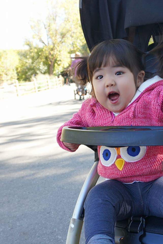 mika_shima's tweet photo. What does the @calgaryzoo do? It makes you #smile #getthere #yyc #visitab https://t.co/qAPWJtLF6X