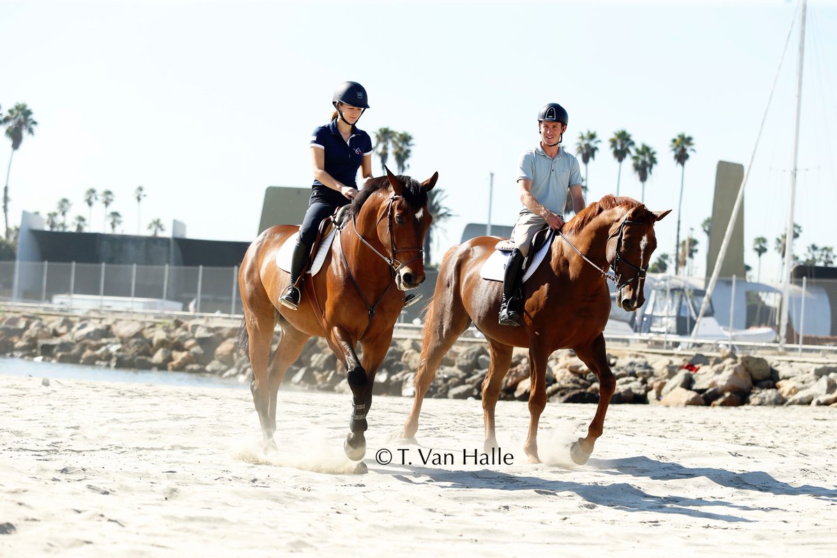 Tiffanyvanhalle's tweet photo. @LonginesMasters @gooseydavis @scott_brash walking on the beach https://t.co/ki7rlvww7c