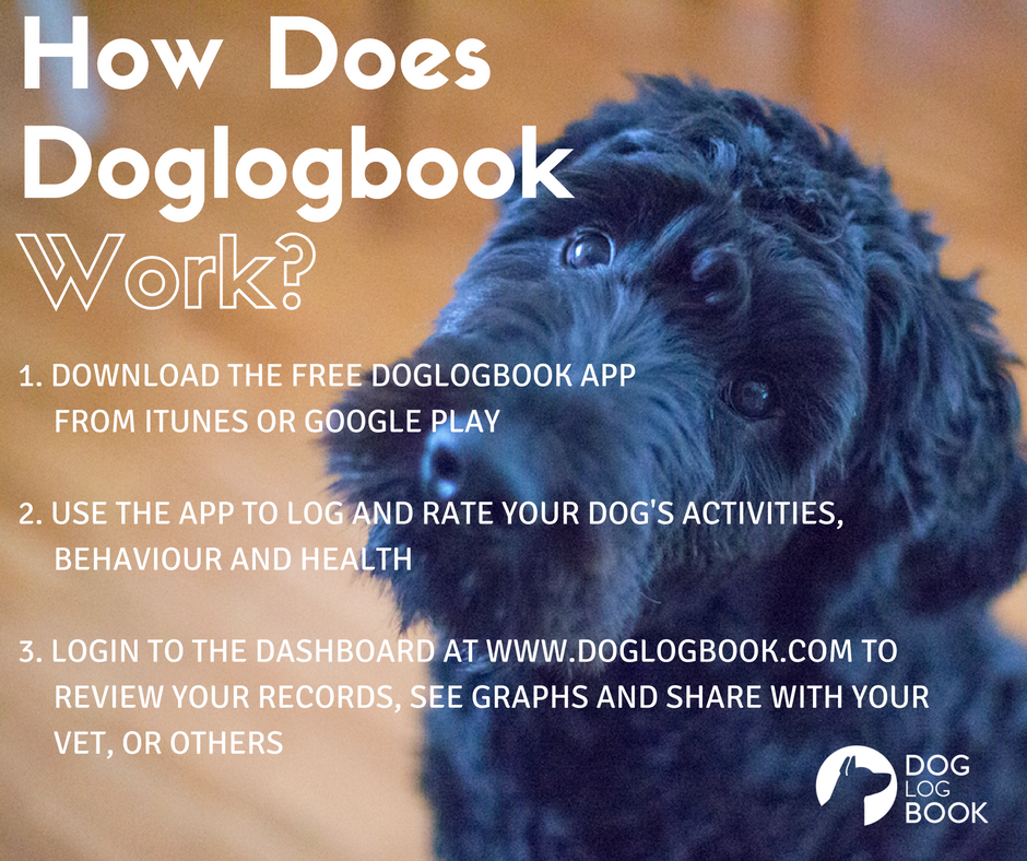 Julie Hecht tweet media