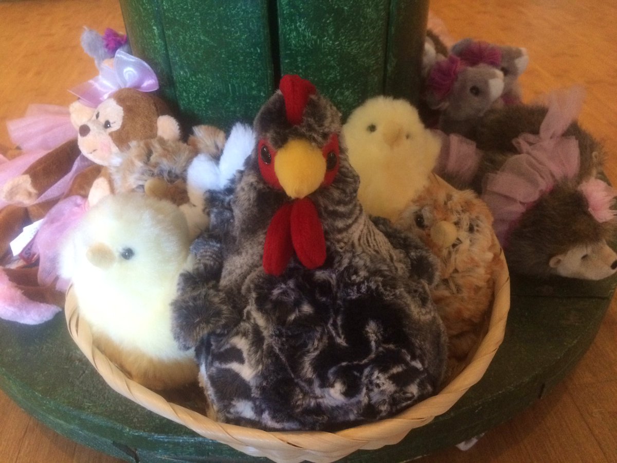 judybujold's tweet photo. Roosters and chicken everywhere @FolsomZoo  come on down and support the #zoo https://t.co/3RbWE66OUp