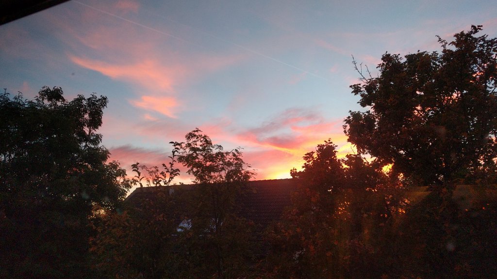 PicThisNature's tweet photo. #goodnight #PicThisNature by @Jamp_Konrad https://t.co/FrspdjmfCz