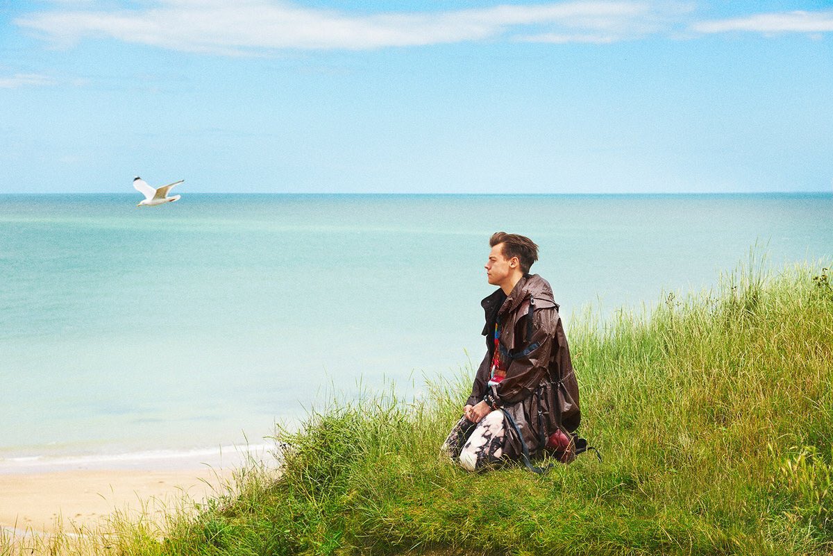 Another man перевод. Harry styles photoshoot. гарри стайлс фотосессия. Another man перевод. Harry styles for another man.