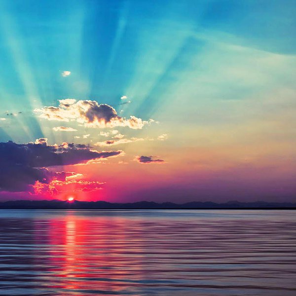 Have a nice night to all
-
best force without ego
and Tolerance without weakness
and faith that life is
Right to everyone
Rere