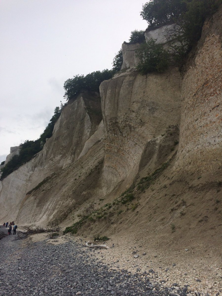 smalone_SCED's tweet image. Møns Klint was formed over 70 million years ago! I wonder what this foliation could tell us about how the cliffs were formed? #SciLit2016
